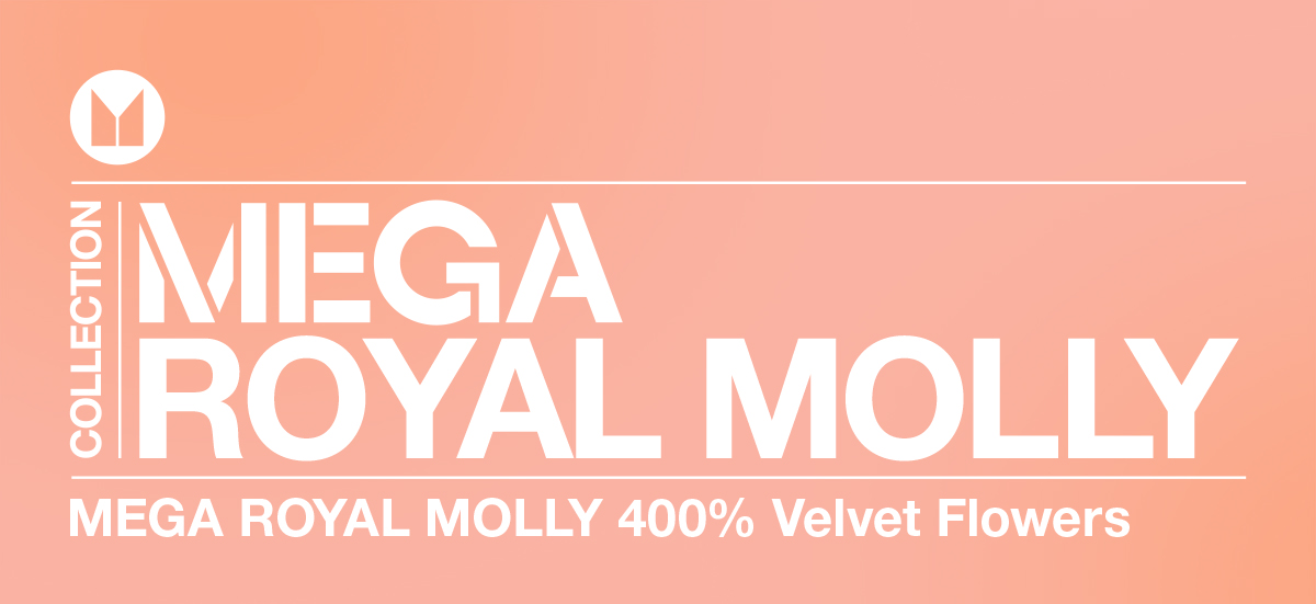 その他 MEGA  MOLLY Velvet Flowers 400% Pop Mart Mega Royal Molly Velvet Flowers 400% - US